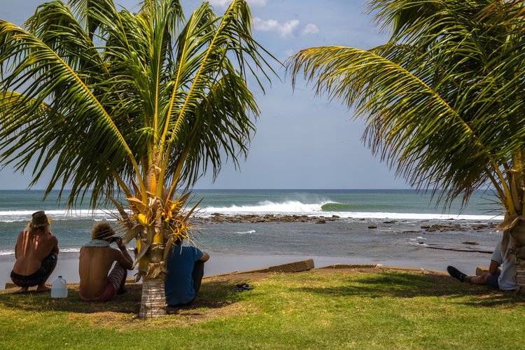 People sitting under palm trees on a grassy area, looking toward the ocean with waves and rocks, on a sunny day.