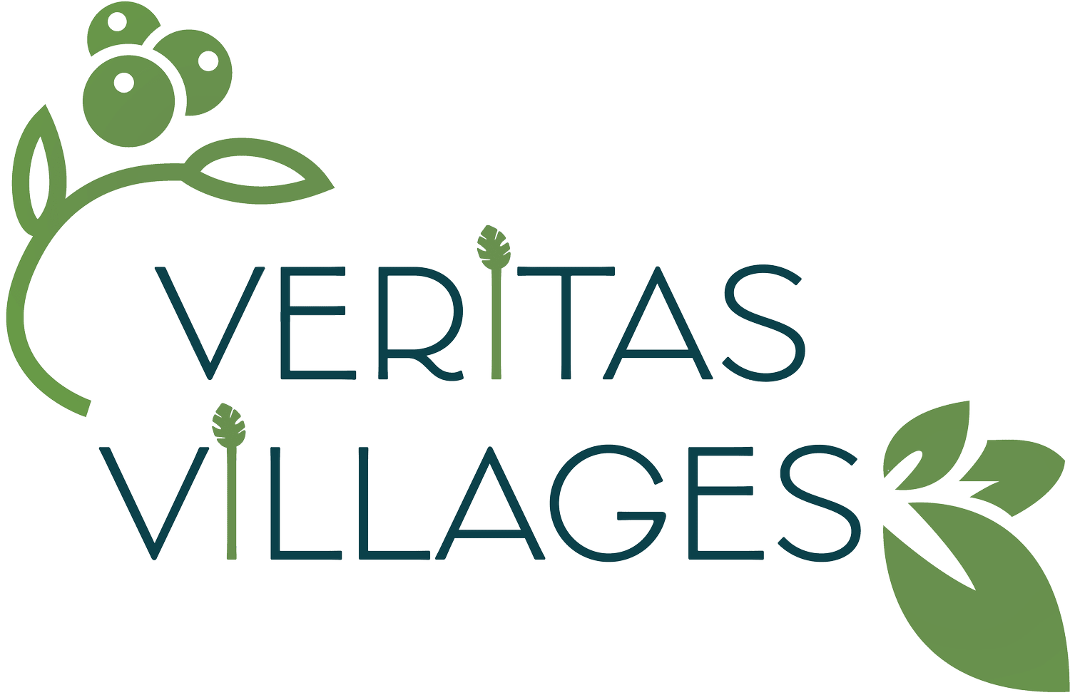 Veritas Villages