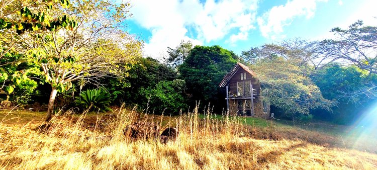 A rustic house with a stone base and wooden upper structure is set among lush green trees on a sunny day. Tall dry grass covers the foreground, and the sky above is bright blue with scattered clouds.